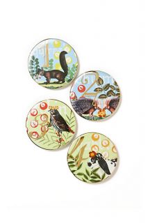 Sylvan Coasters   Anthropologie