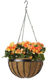 Diamond Hanging Basket   Planters   Accessories   Outdoor 