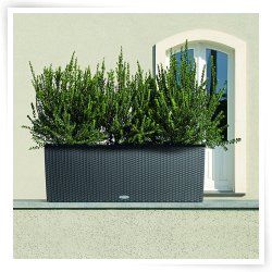 Rectangle Lechuza Trio Cottage Self Watering Resin Planter