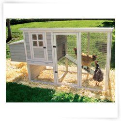 Precision Pet Products Hen House Chicken Coop