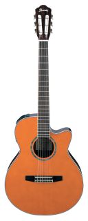 Ibanez AEG10NE Classical Cutaway Acoustic Electric Guitar