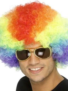 Funky Afro Wig   Rainbow Littlewoods