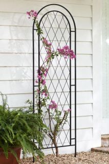 Diamond Trellis   Trellises   Structure   Outdoor  HomeDecorators 