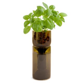 GROWBOTTLE  Indoor Herb Garden Kit, Wine Bottle Planter 