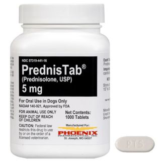 Prednisolone for Dogs and Cats   Joint Pain Medication   1800PetMeds
