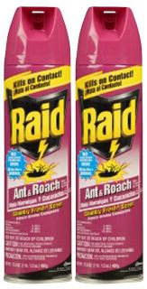 Raid Ant & Roach Killer Insecticide Spray, Country Fresh, 17.5 oz 2 