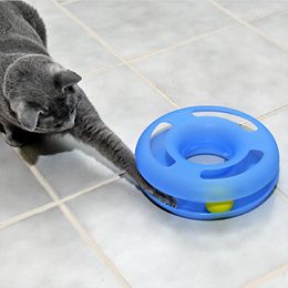 Crazy Circle Interactive Cat Toy   Durable Toy for Cats   1800PetMeds