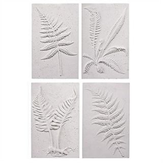 Sia Set of Four Ornamental Fern Fossils