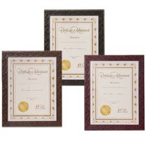 Bulk Embossed Plastic Document and Photo Frames, 8½x11 at DollarTree 