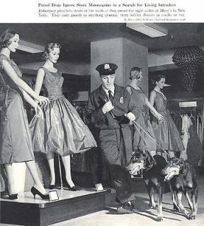 Newly listed Doberman Pinscher Patrols  Department Store NY 1958 
