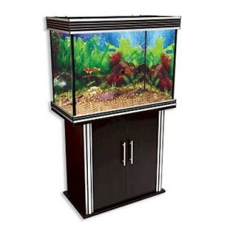 Nautilis I 49 Gallon Aquarium   Black with Silver Trim + Accessories