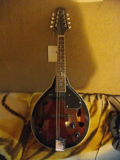 mandolin acoustic electric brand new clearance sale great quality 