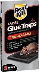 rat glue trap in Rodent Control