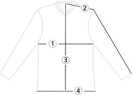 Shirt Size TGW Size Chest Sleeve Length Center Back Length Sweep