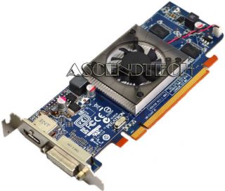   RADEON HD6450 1GB GDDR3 PCIe LOW PROFILE DVI HDMI VIDEO GRAPHICS CARD