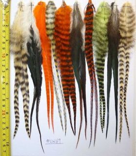 20 Whiting Grizzly Badger Feathers for Hair Extension, w/20 Beads, # 