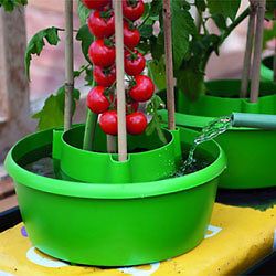 PLANT HALOS Green   Watering & Support Solution   Grow Bags 