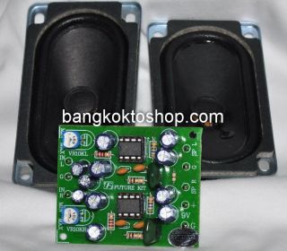 2W Small Stereo Amplifier comes with 2 x 16Ohm Speaker assembled
