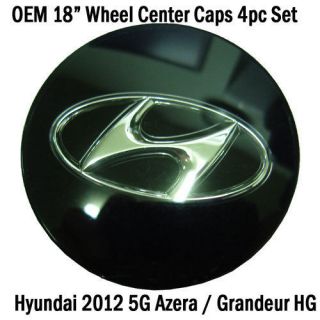 2012 Hyundai 5G Azera Grandeur HG Genuine OEM 17 18 Wheel Center 