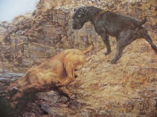 Patterdale Terrier Print  Roger Inman  Ltd.Edn. 101/200