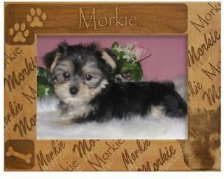 MORKIE ENGRAVED ALDERWOOD PICTURE FRAME #0204 Available in four sizes