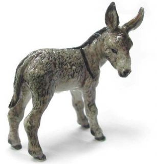 northern rose r235 miniature donkey kid  11