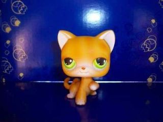 littlest pet shop orange stripe tabby kitty cat 11 time