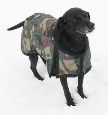 WaterProof Thermal Lined Winter Dog Coat Hunter Camo SM/Med Hunting