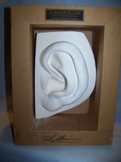 David Ear (by Michel Angelo) 22 cm by British Museum * WE SHIP 