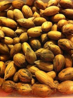 2012 in shell pecans nuts 10 pounds alabama crop no