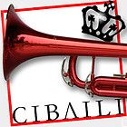 CIBAILI Green and Gold Quality Metal PICCOLO Flute NEW