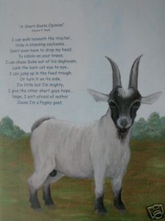pygmy goat print from original oil painting with poem time