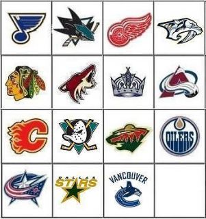 NHL Hockey Nail Decals Set of 20   Choose from 15 designs