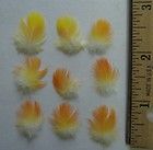 50 tiny natural orange parrot feathers under 1 inch more