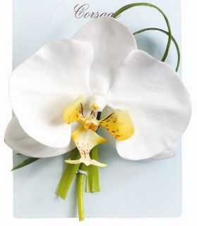 phalaenopsis orchid silk flower corsage cream  6