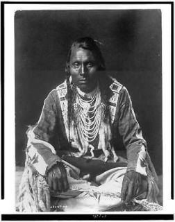 Wades in Water,Pigeon Indian,beaded buckskin shirt,leggings​,braids 