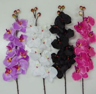 3X SILK WEDDING ORCHID PHALENOPSIS FLOWER FLOWERS STEM BLACK WHITE 