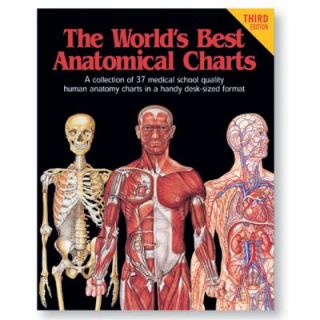   Anatomical Chart Company Staff 2000, Paperback Poster, Revised