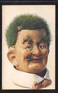 fantasy chia like man grass growing from head postcard time