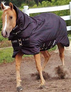 rambo quarter horse turnout sheet waterproof  124