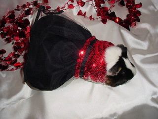 Valentines Day Red Sequin Dress Costume for Guinea Pig   Night on the 