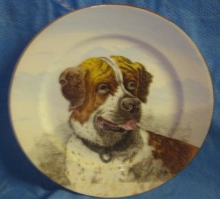 saint bernard victorian dog series cauldon lrg plate time left