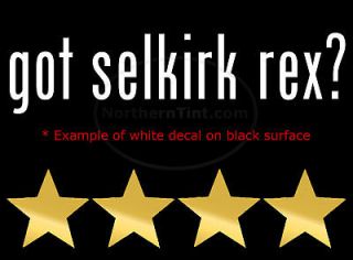 got selkirk rex vinyl wall art truck car decal sticker