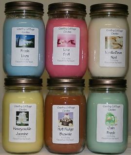 LOT OF (6) 16 OZ SOY CANDLESPICK YOUR SCENTS
