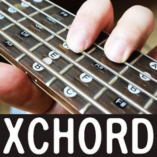 XCHORD Melody Scale 5 String Bass Guitar Sticker   XBG5 Fretboard Note 
