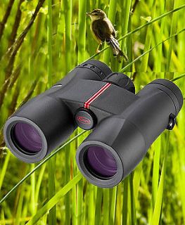 Kowa SV32 8 x 32 Roof Prism Binoculars Black (UK Stock)