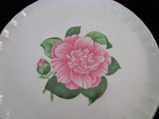 WS George Bolero Vintage Pink CAMELLIA Dinner Plates Set of 4