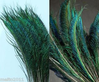 100pcs sword peacock fern feather 10 12 lefts rights from