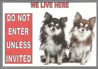   WE LIVE HERE DO NOT ENTER 2 LONG HAIRED CHIHUAHUAS PEEL n STICK SIGN