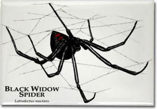 black widow spider art collectible refrigerator magnet 